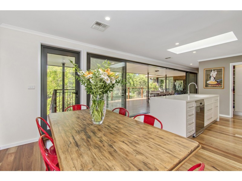 113 Springvale Drive, Weetangera ACT 2614