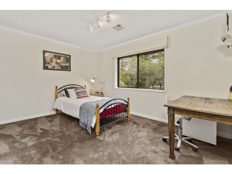113 Springvale Drive, Weetangera ACT 2614