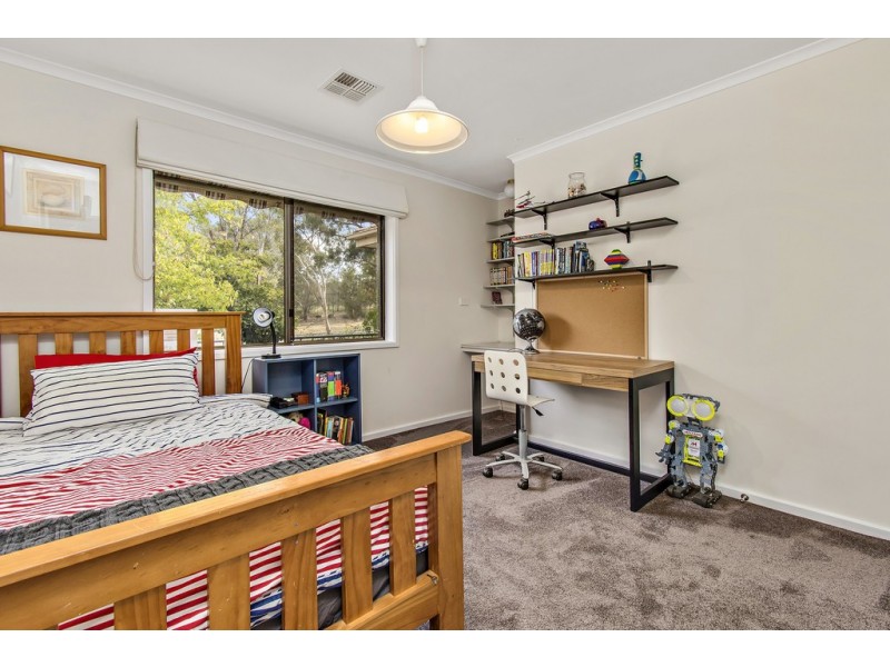 113 Springvale Drive, Weetangera ACT 2614