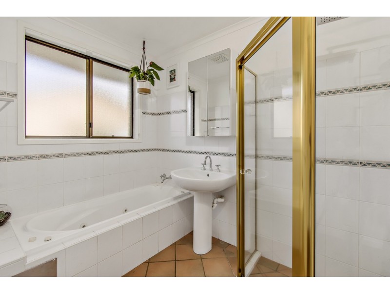113 Springvale Drive, Weetangera ACT 2614