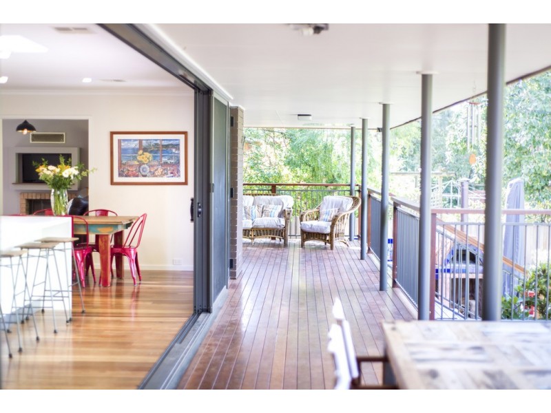 113 Springvale Drive, Weetangera ACT 2614