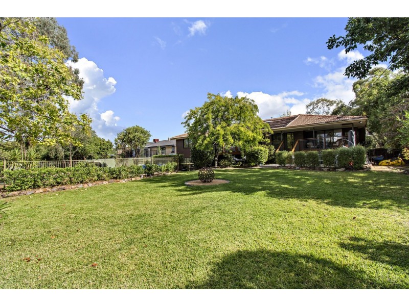113 Springvale Drive, Weetangera ACT 2614