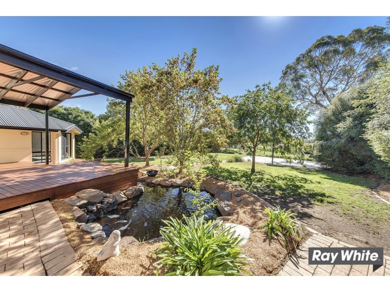 155 Temperley Street, Nicholls ACT 2913