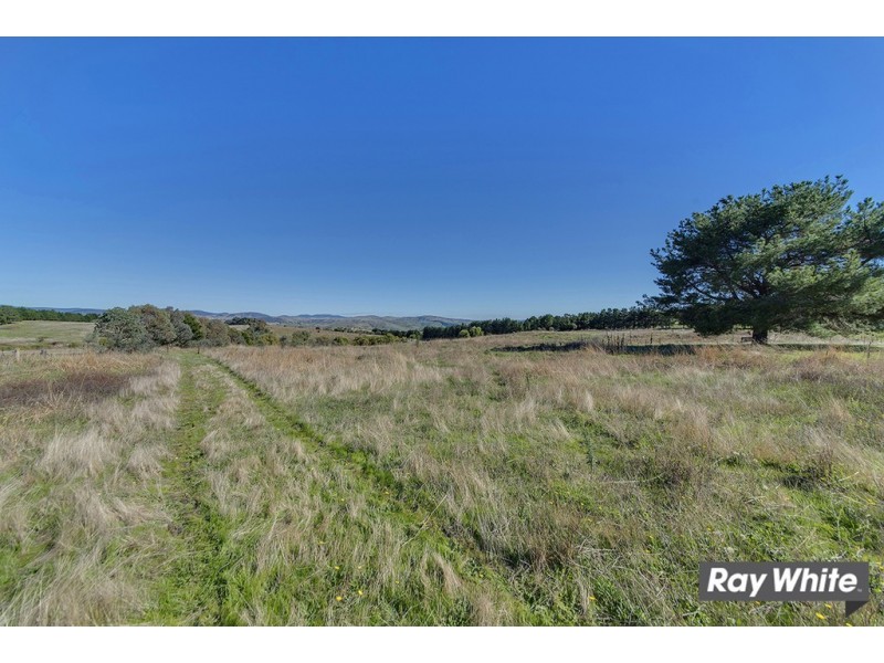 49 Oakey Creek Road, Wallaroo NSW 2618
