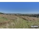 49 Oakey Creek Road, Wallaroo NSW 2618