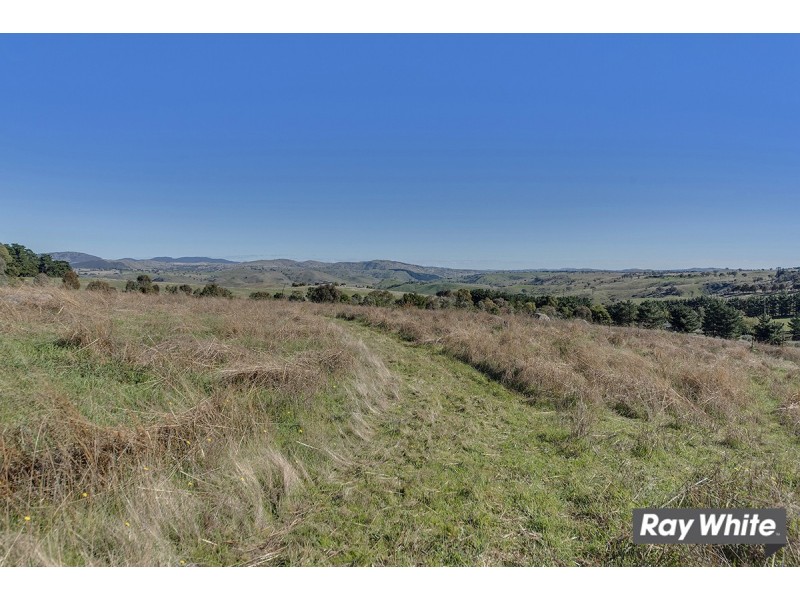 49 Oakey Creek Road, Wallaroo NSW 2618