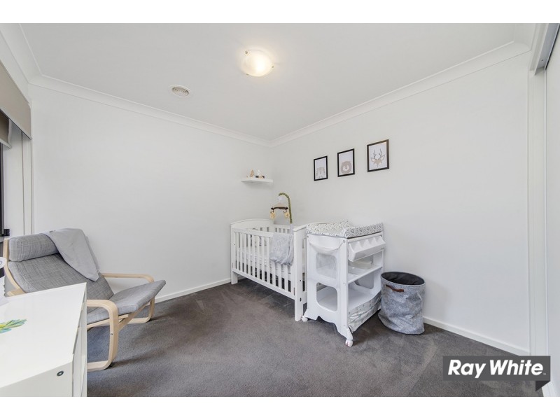 43 Victoria Owen Circuit, Casey ACT 2913