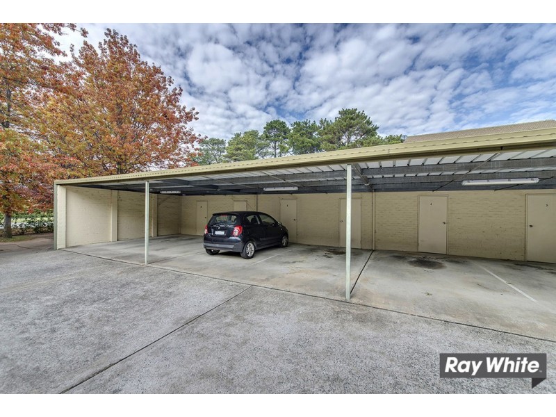 5/4 Antis Street, Phillip ACT 2606