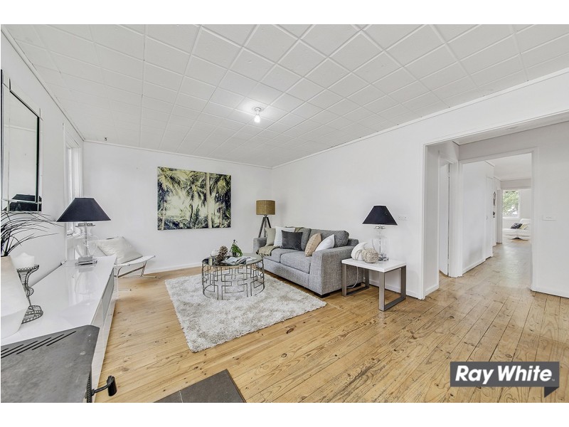 29 Trickett Street, Holt ACT 2615