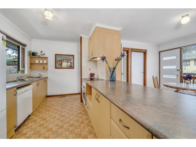 40 Mackellar Crescent, Cook ACT 2614