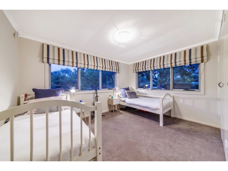 14 Moss Street, Cook ACT 2614