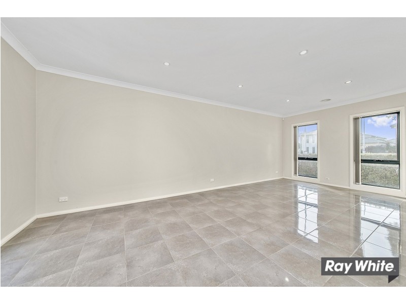 169 Hoskins Street, Franklin ACT 2913