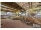 1 Hugh McKay Street, Dunlop ACT 2615