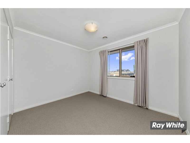 103A Anthony Rolfe Avenue, Gungahlin ACT 2912