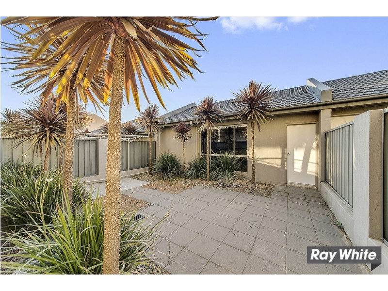103A Anthony Rolfe Avenue, Gungahlin ACT 2912