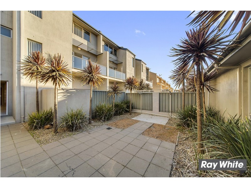 103A Anthony Rolfe Avenue, Gungahlin ACT 2912