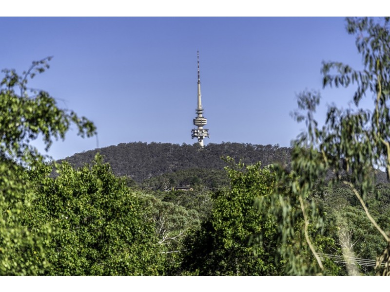 17 Goulburn Street, Macquarie ACT 2614