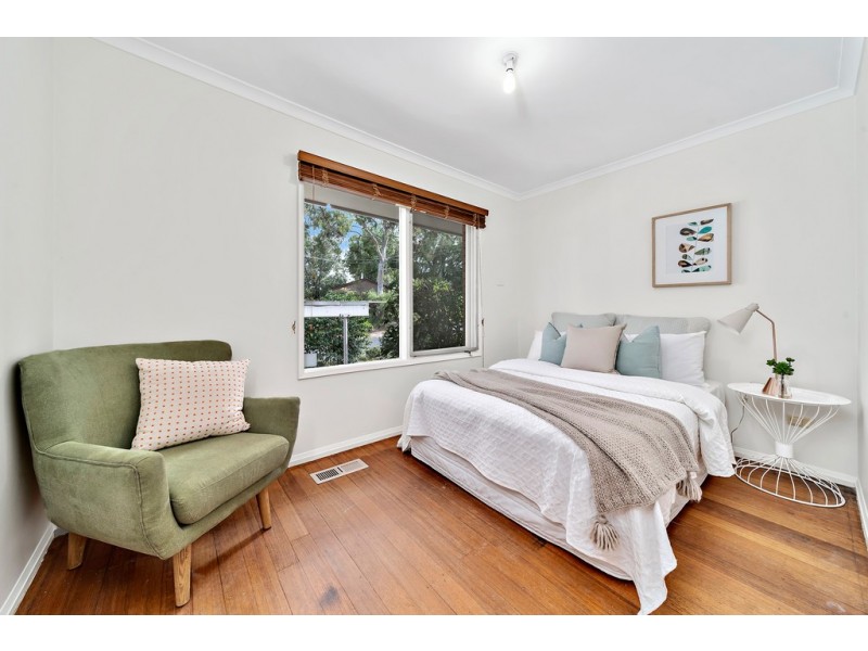 17 Goulburn Street, Macquarie ACT 2614