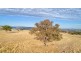 Lot 2, 51 Brooklands Road, Wallaroo NSW 2618