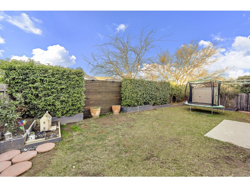 5 Clarendon Street, Amaroo ACT 2914