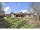 13 Phyllis Frost Street, Forde ACT 2914