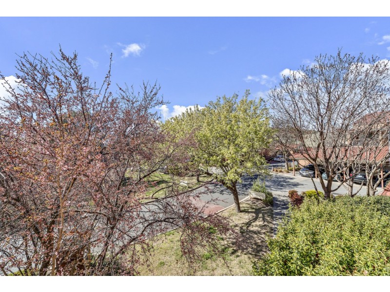 4C 12 Albermarle Place, Phillip ACT 2606