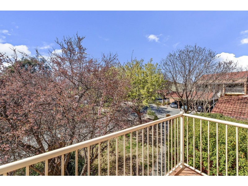 4C 12 Albermarle Place, Phillip ACT 2606