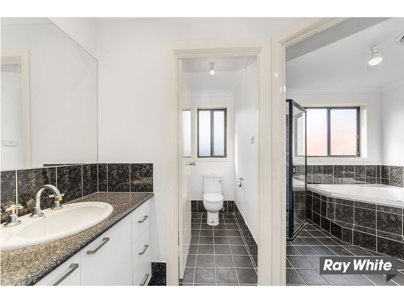 55 Diamond Street, Amaroo ACT 2914