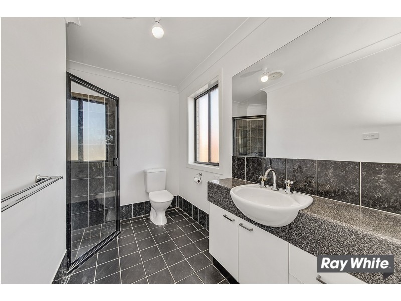 55 Diamond Street, Amaroo ACT 2914