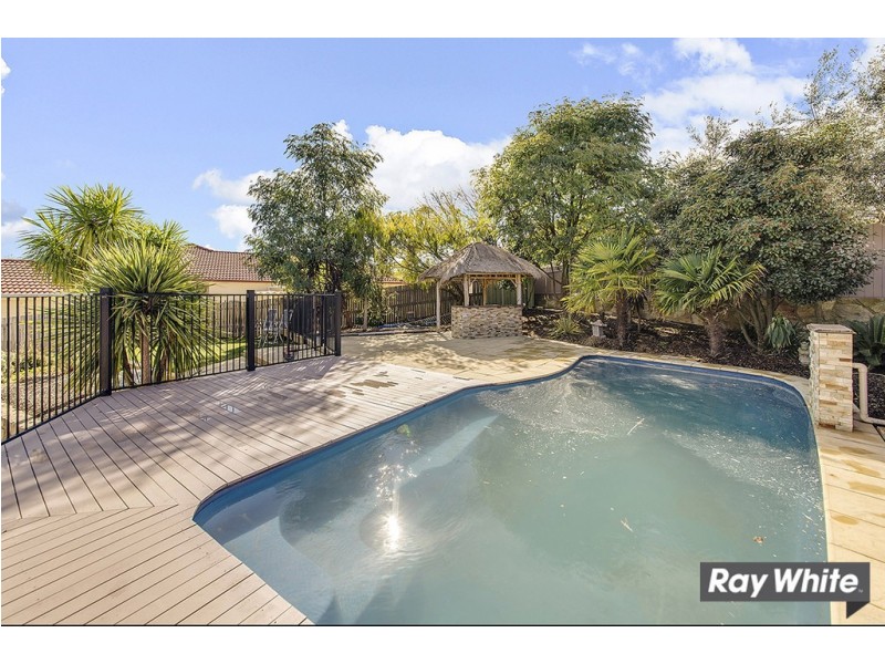 55 Diamond Street, Amaroo ACT 2914