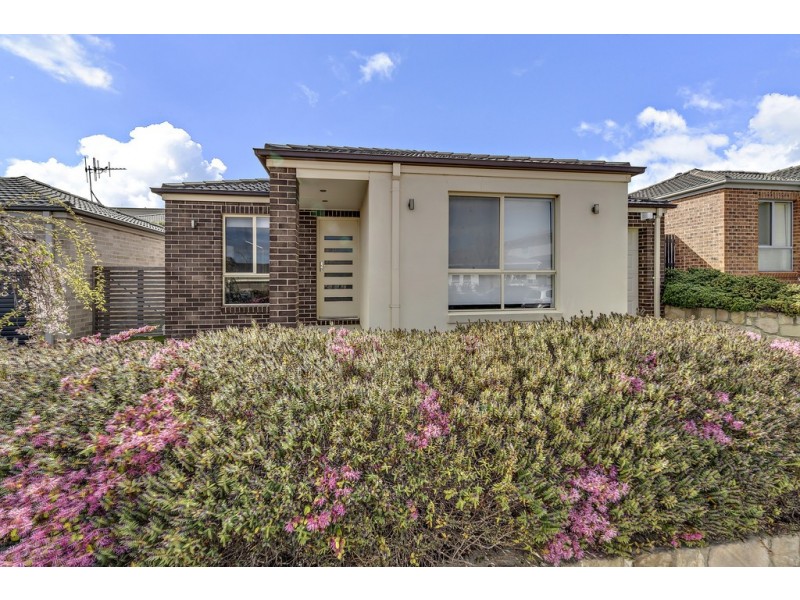 8 Hinde Street, Franklin ACT 2913