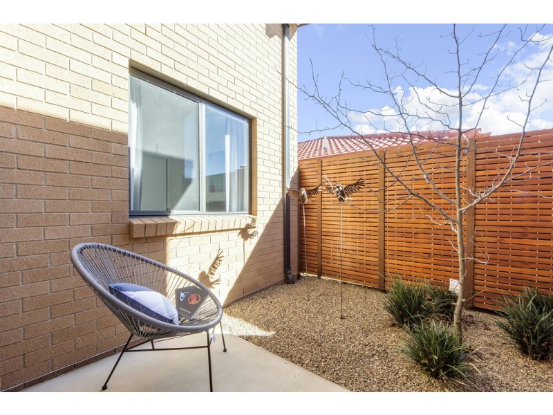 177 Macfarlane Burnet Avenue, Macgregor ACT 2615