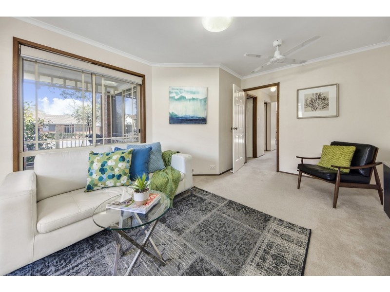 19/41 Halford Crescent, Page ACT 2614