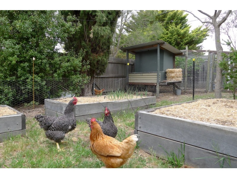 5 Leane Street, Hughes ACT 2605