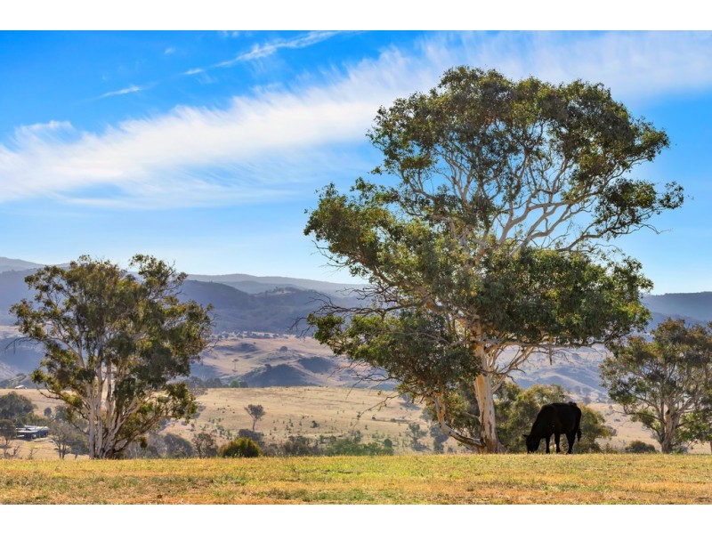 Lot 2 66 Brooklands Rd, Wallaroo NSW 2618