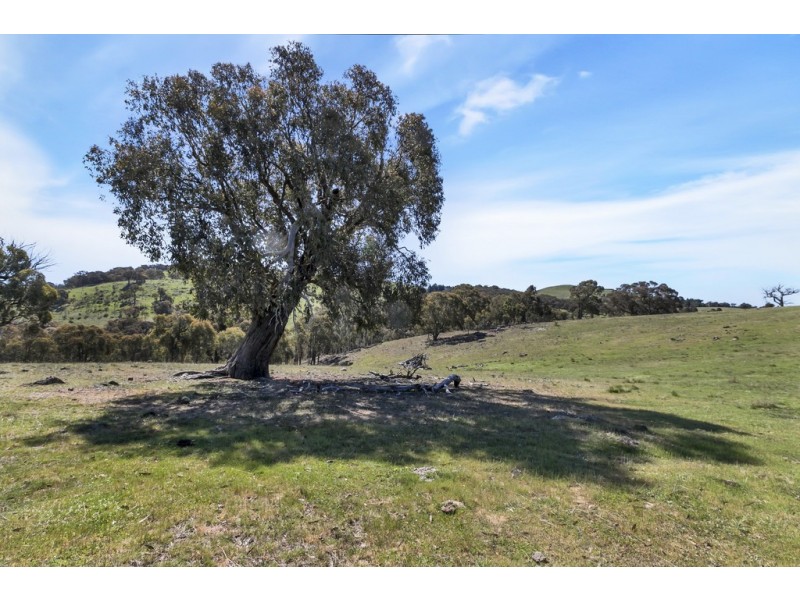 Lot 2/99 Fairview Road, Springrange NSW 2618