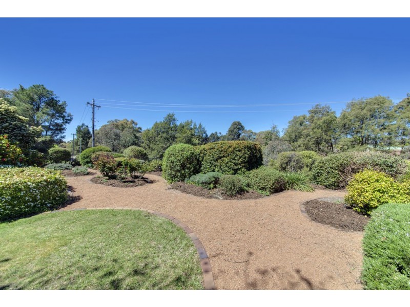 5 Sewell Place, Macgregor ACT 2615