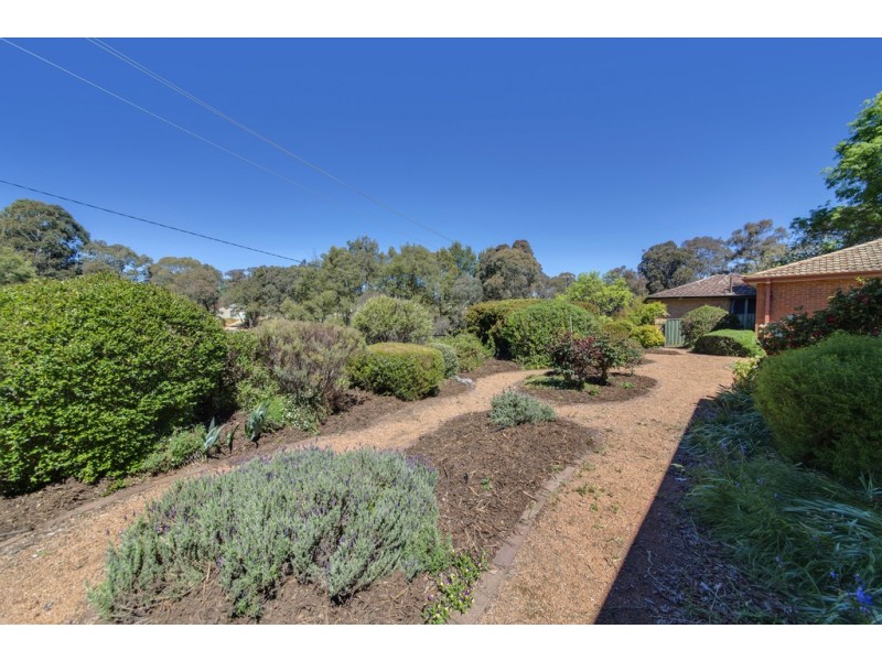 5 Sewell Place, Macgregor ACT 2615