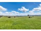 2963 Dog Trap Road, Jeir NSW 2582