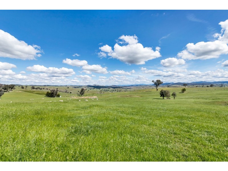 2963 Dog Trap Road, Jeir NSW 2582
