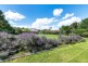 2963 Dog Trap Road, Jeir NSW 2582