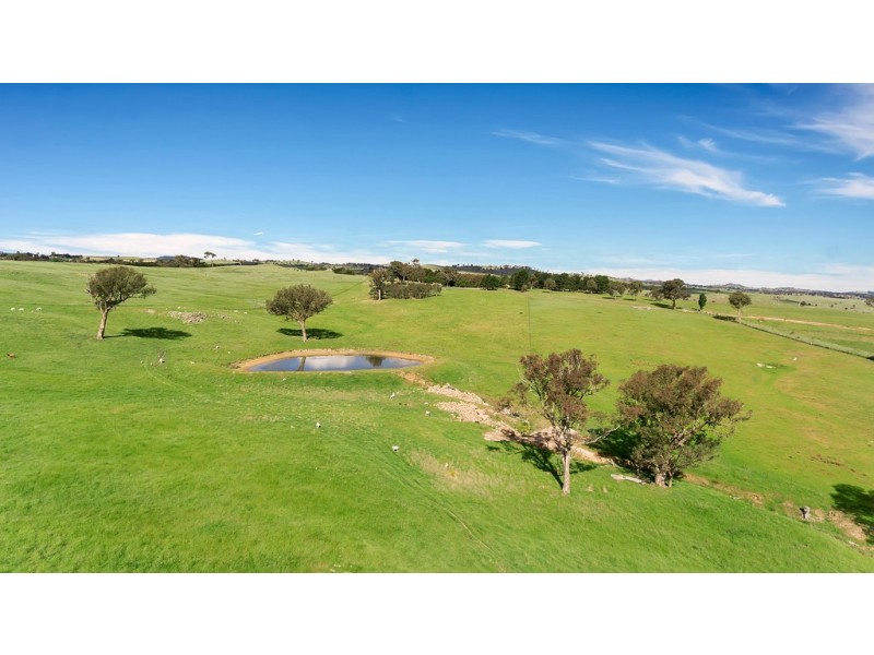 2963 Dog Trap Road, Jeir NSW 2582
