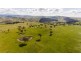 2963 Dog Trap Road, Jeir NSW 2582