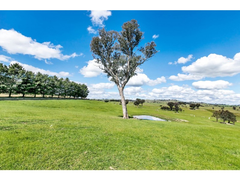 2963 Dog Trap Road, Jeir NSW 2582