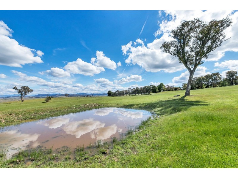 2963 Dog Trap Road, Jeir NSW 2582