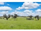 2963 Dog Trap Road, Jeir NSW 2582