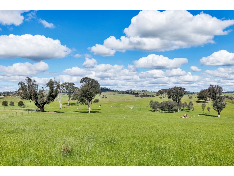 2963 Dog Trap Road, Jeir NSW 2582