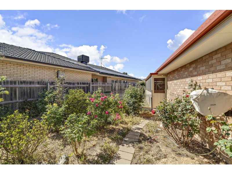 56 Gwen Meredith Loop, Franklin ACT 2913
