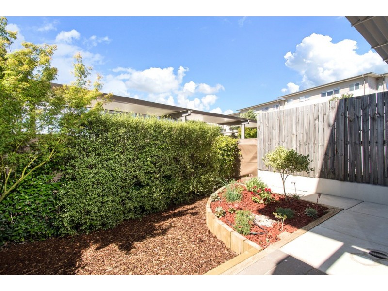 14/311 Flemington Road, Franklin ACT 2913