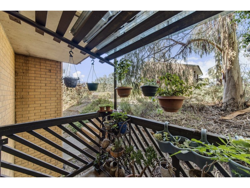 2/31 Disney Court, Belconnen ACT 2617